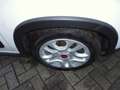 Fiat New Panda City Life Hybrid Weiß - thumbnail 5
