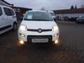Fiat New Panda City Life Hybrid Weiß - thumbnail 17