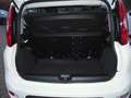 Fiat New Panda City Life Hybrid Weiß - thumbnail 8