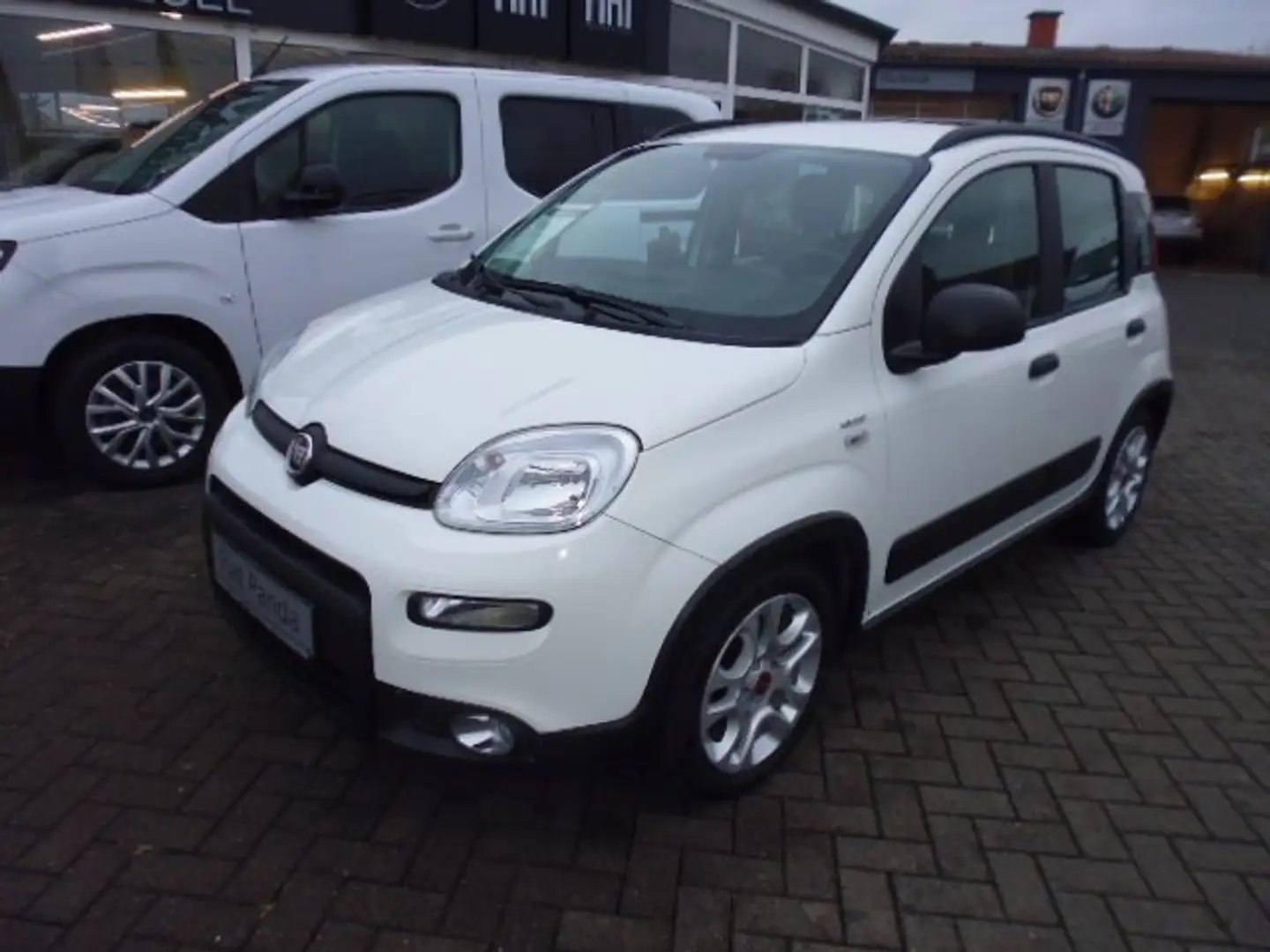 Fiat New Panda City Life Hybrid Weiß - 2