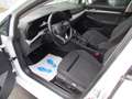 Volkswagen Golf 2.0TDI**Life Variant** LED/Virtuell/Massage Weiß - thumbnail 5