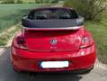 Volkswagen Beetle Cabrio, Design 1,4 TSI, TORNADO-ROT, viele Extras Rot - thumbnail 5