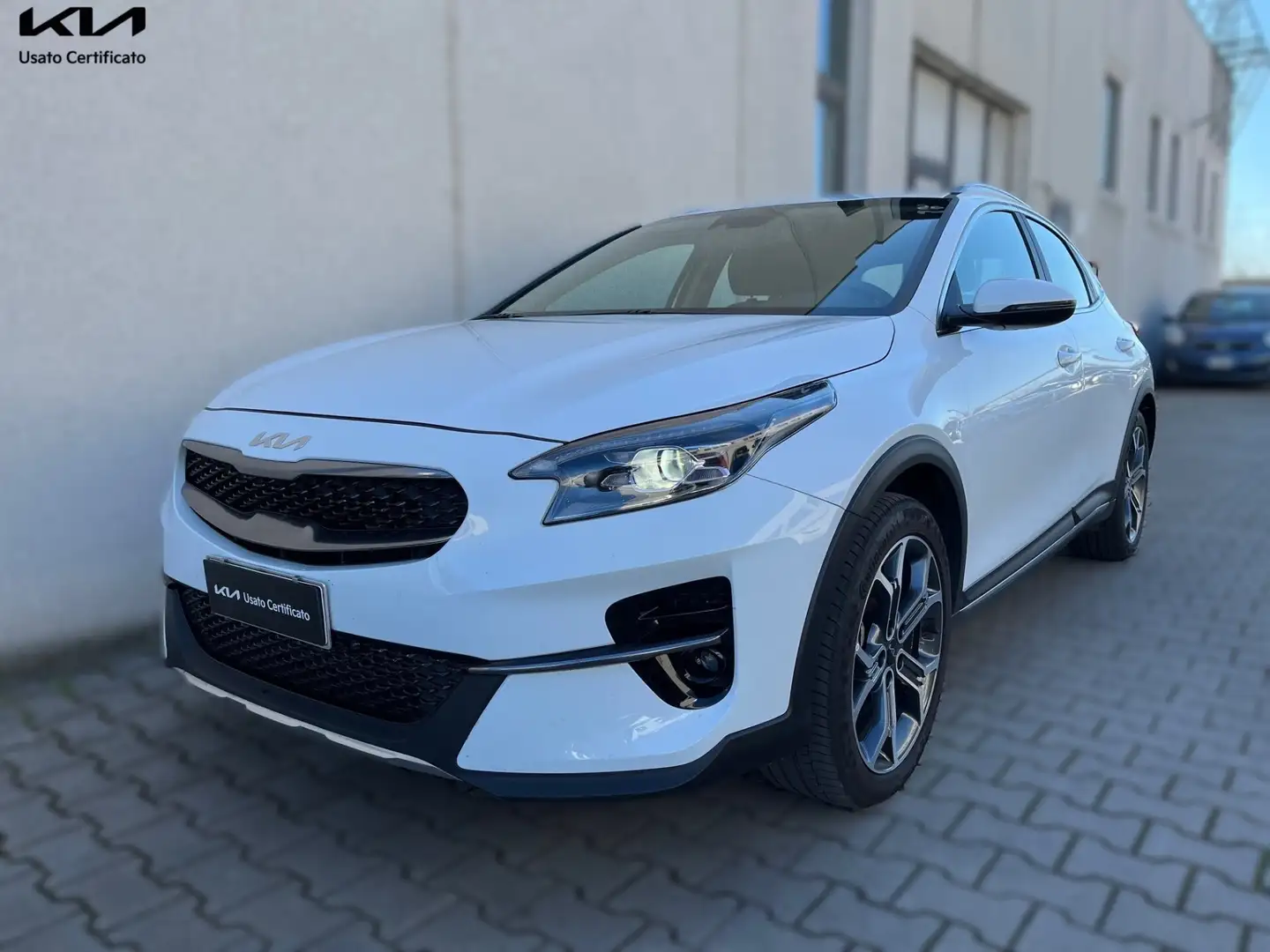 Kia XCeed 1.6 CRDi 136 CV Mild Hybrid iMT Business Blanc - 1
