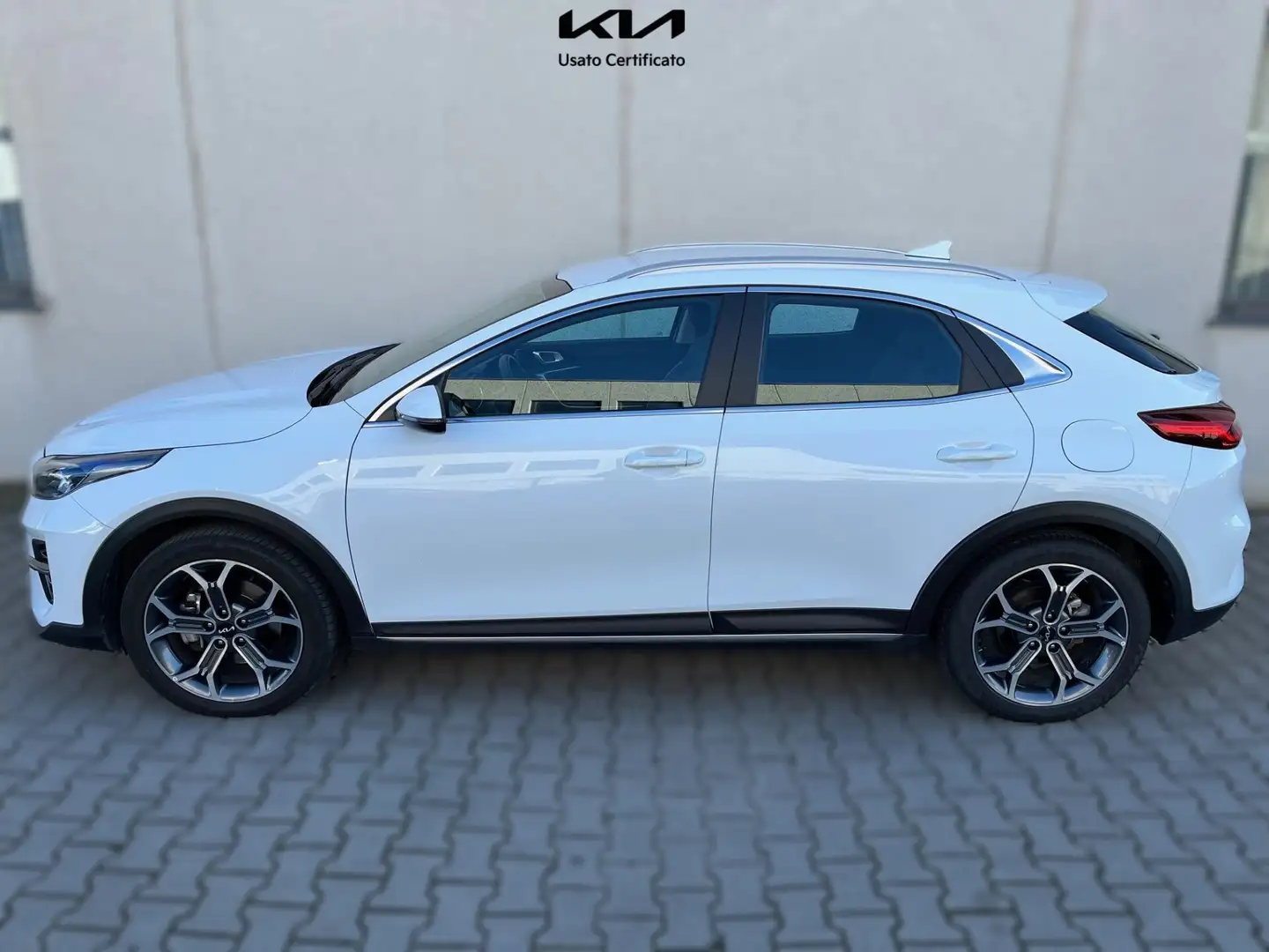 Kia XCeed 1.6 CRDi 136 CV Mild Hybrid iMT Business Blanc - 2