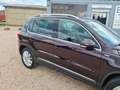 Volkswagen Tiguan Life BMT 4Motion Paars - thumbnail 4