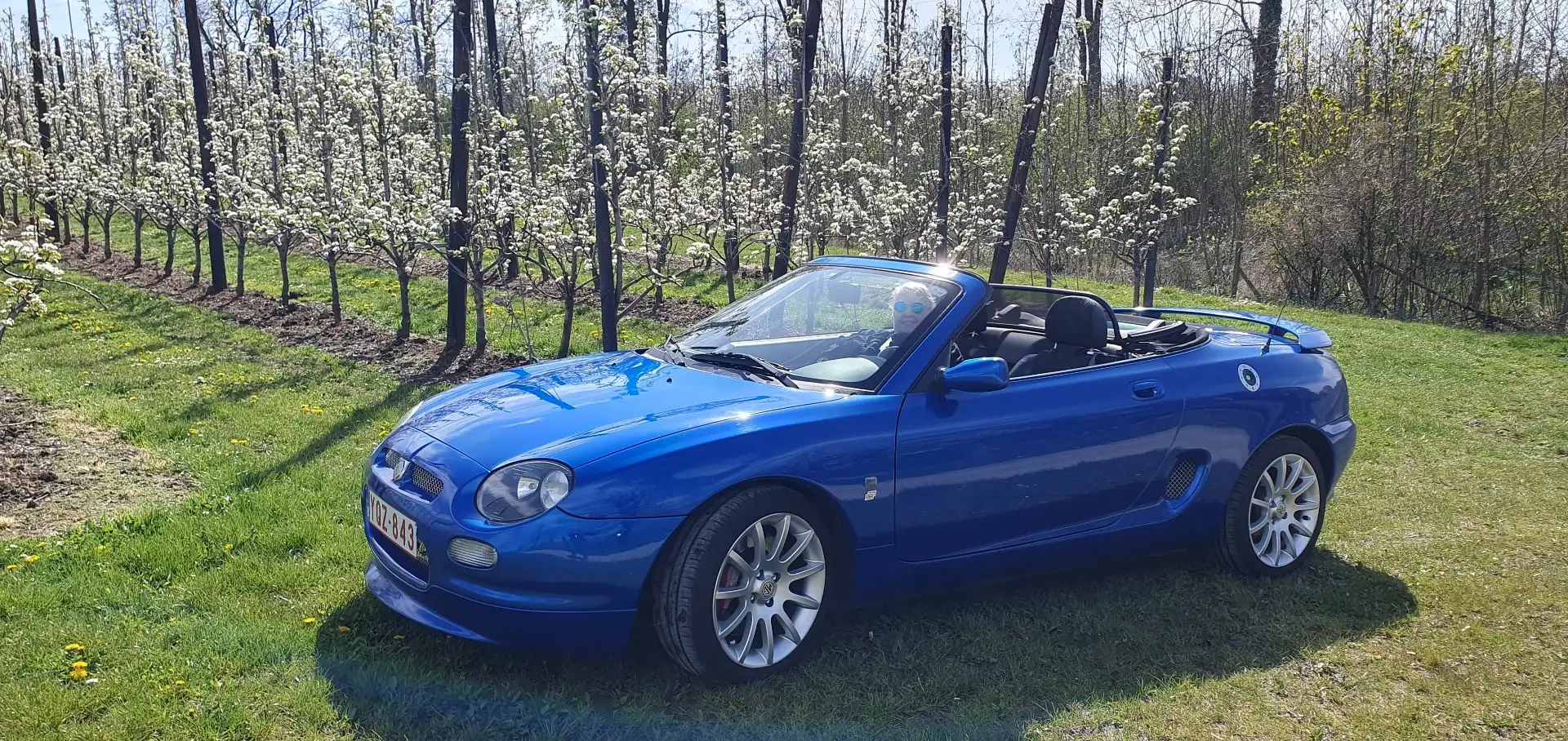 MG MGF 1.8i 16v Trophy - 1