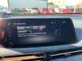 Nissan Ariya EVOLVE Gris - thumbnail 14