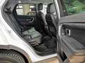 Land Rover Discovery Sport SE AWD+NAV+SOUNDSYSTEM+KAM+ Weiß - thumbnail 19