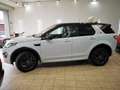 Land Rover Discovery Sport SE AWD+NAV+SOUNDSYSTEM+KAM+ Weiß - thumbnail 11