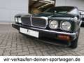 Jaguar XJ40 3.2 Oldtimer HU neu außergw. Zust. deut. Fzg. Grün - thumbnail 20