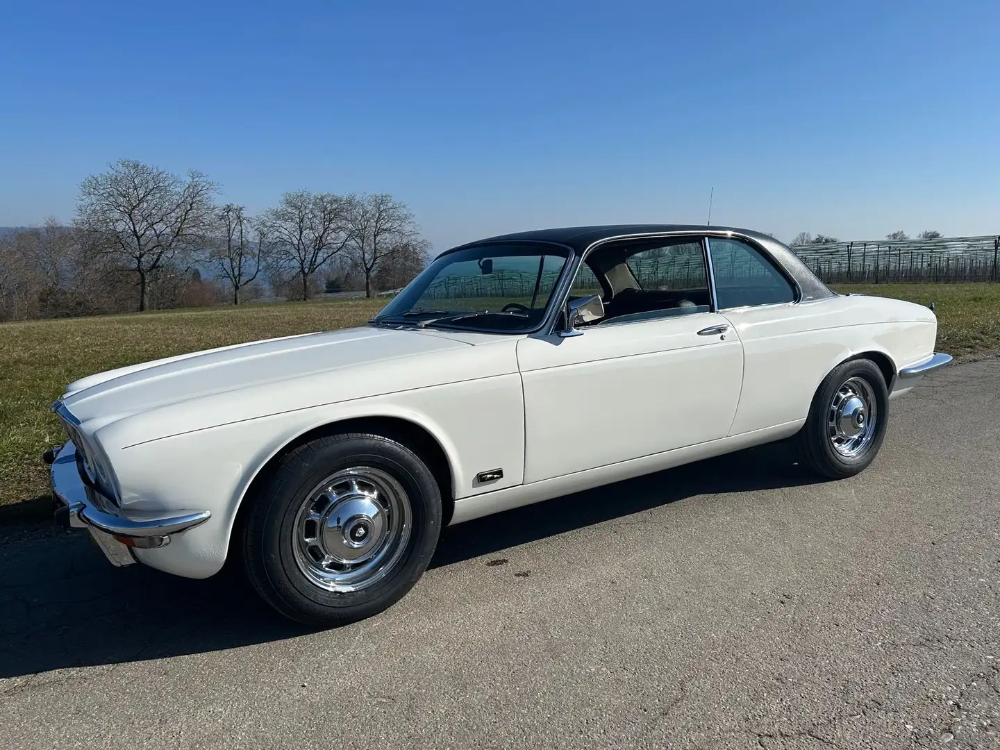 Jaguar XJ6 Coupé 4,2 Liter super "Daily Cruiser" LHD Bianco - 1