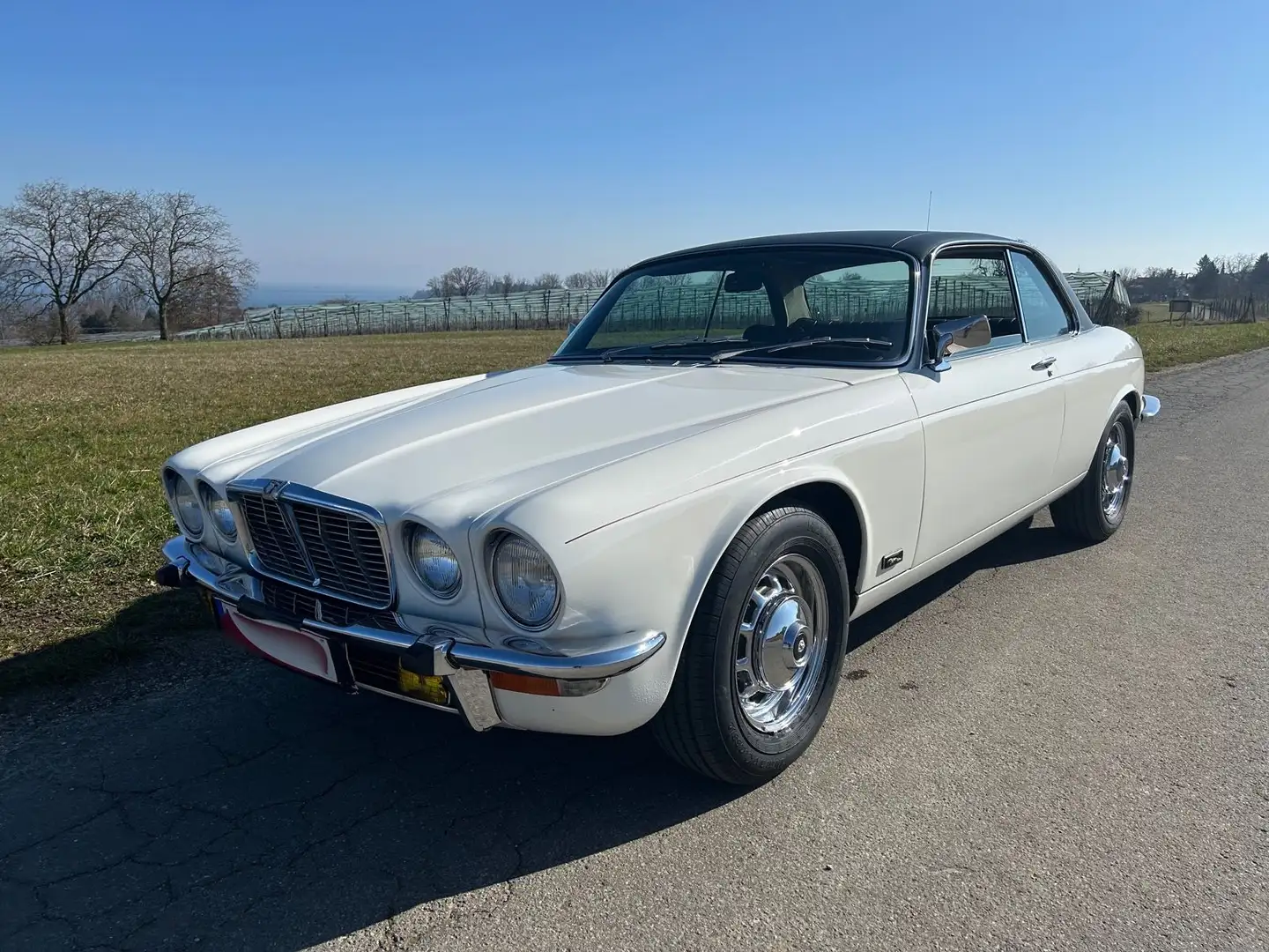 Jaguar XJ6 Coupé 4,2 Liter super "Daily Cruiser" LHD Bianco - 2