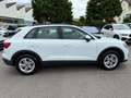 Audi Q3 40 TDI quattro S tronic*Matrix-LED+virtual co Weiß - thumbnail 3