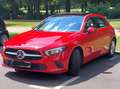 Mercedes-Benz A 200 A 200  Panoramadach wenig km Piros - thumbnail 11