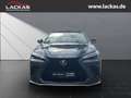 Lexus 450 h+ E-Four EU6d F-Sport-Paket Navi LED Apple Ca Gri - thumbnail 8