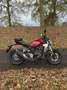 Honda CB 300 Rouge - thumbnail 3