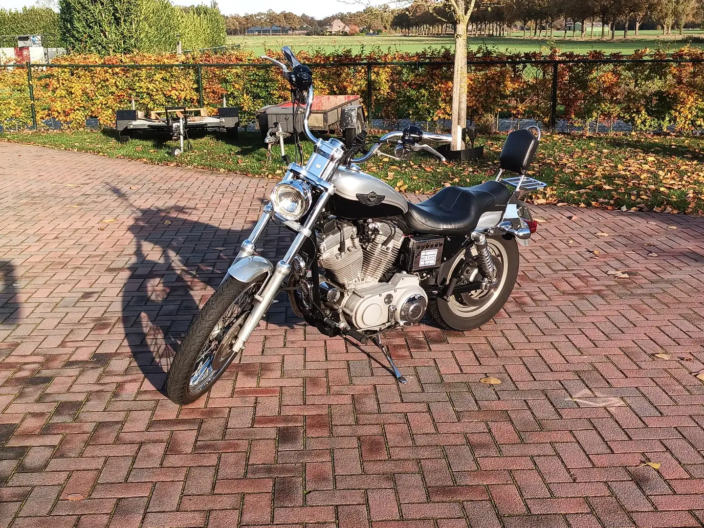 Harley-Davidson Sportster XL 883 100th Anniversary Stříbrná - 1