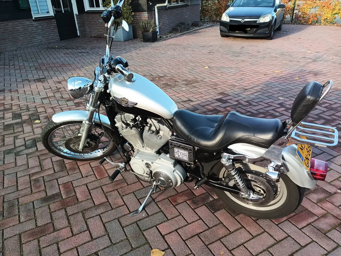 Harley-Davidson Sportster XL 883 100th Anniversary Stříbrná - 2