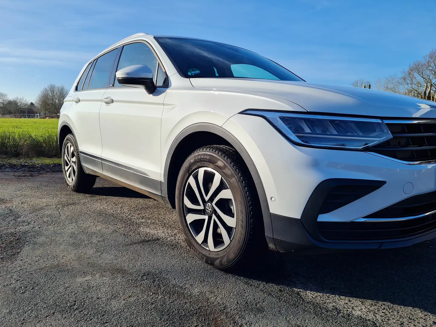 Volkswagen Tiguan VW Tiguan Life 1,5 TSI DSG|Sondermodell Active Weiß - 1