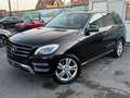 Mercedes-Benz ML 250 BlueTEC 4MATIC / TOIT / CAMERA / EURO 6b / FULL !! Noir - thumbnail 1