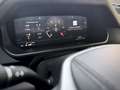 Land Rover Defender 110 S 300 D Grau - thumbnail 23