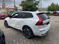 Volvo XC60 T6 AWD Plus Dark+LagomPak+AHZV+SOFORT Weiß - thumbnail 4