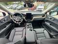 Volvo XC60 T6 AWD Plus Dark+LagomPak+AHZV+SOFORT Weiß - thumbnail 8