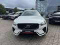 Volvo XC60 T6 AWD Plus Dark+LagomPak+AHZV+SOFORT Weiß - thumbnail 2