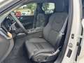 Volvo XC60 T6 AWD Plus Dark+LagomPak+AHZV+SOFORT Weiß - thumbnail 7