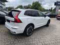 Volvo XC60 T6 AWD Plus Dark+LagomPak+AHZV+SOFORT Weiß - thumbnail 6