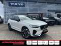 Volvo XC60 T6 AWD Plus Dark+LagomPak+AHZV+SOFORT Weiß - thumbnail 1