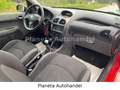 Peugeot 206 JBL 75 *KLIMA*H/AU NEU*ALLWETTERREIFEN* Rot - thumbnail 10