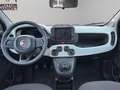 Fiat Panda Pandina 1.0 firefly hybrid s&s 70cv Blu/Azzurro - thumbnail 13
