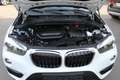 BMW X1 X1 sDrive16d Advantage Aut. Nur 32000 Km! Weiß - thumbnail 12