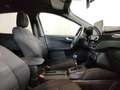 Ford Kuga 2.0 ecoblue mhev ST-Line 2wd 150cv Negro - thumbnail 6