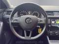 Skoda Octavia Joy 1.4 16V TSI,1H,BIXENON,17ZOLL,LM,SHZ Grau - thumbnail 11