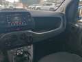 Fiat Panda My24 1.0 70cv Hybrid Panda Blu/Azzurro - thumbnail 16