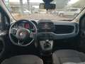 Fiat Panda My24 1.0 70cv Hybrid Panda Blu/Azzurro - thumbnail 10