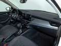 Skoda Kamiq AMBITION 1.0 TSI DSG 110CV Blanc - thumbnail 17