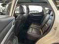 MG ZS ZS Luxury//KeylessGo//360°//DAB// Weiß - thumbnail 20