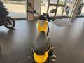 Ducati Scrambler 800 Icon my23 - thumbnail 6