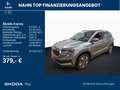 Skoda Karoq 1.5TSI DSG Selection Matrix AHK Navi 360° Grau - thumbnail 2