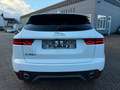 Jaguar E-Pace E-PACE AWD Blanc - thumbnail 8