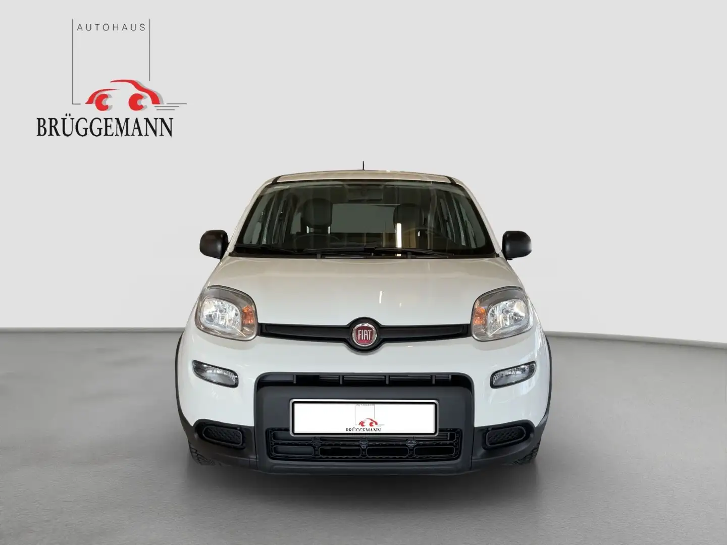 Fiat Panda 1.0 GSE Hybrid + Komfortpaket Blanco - 2