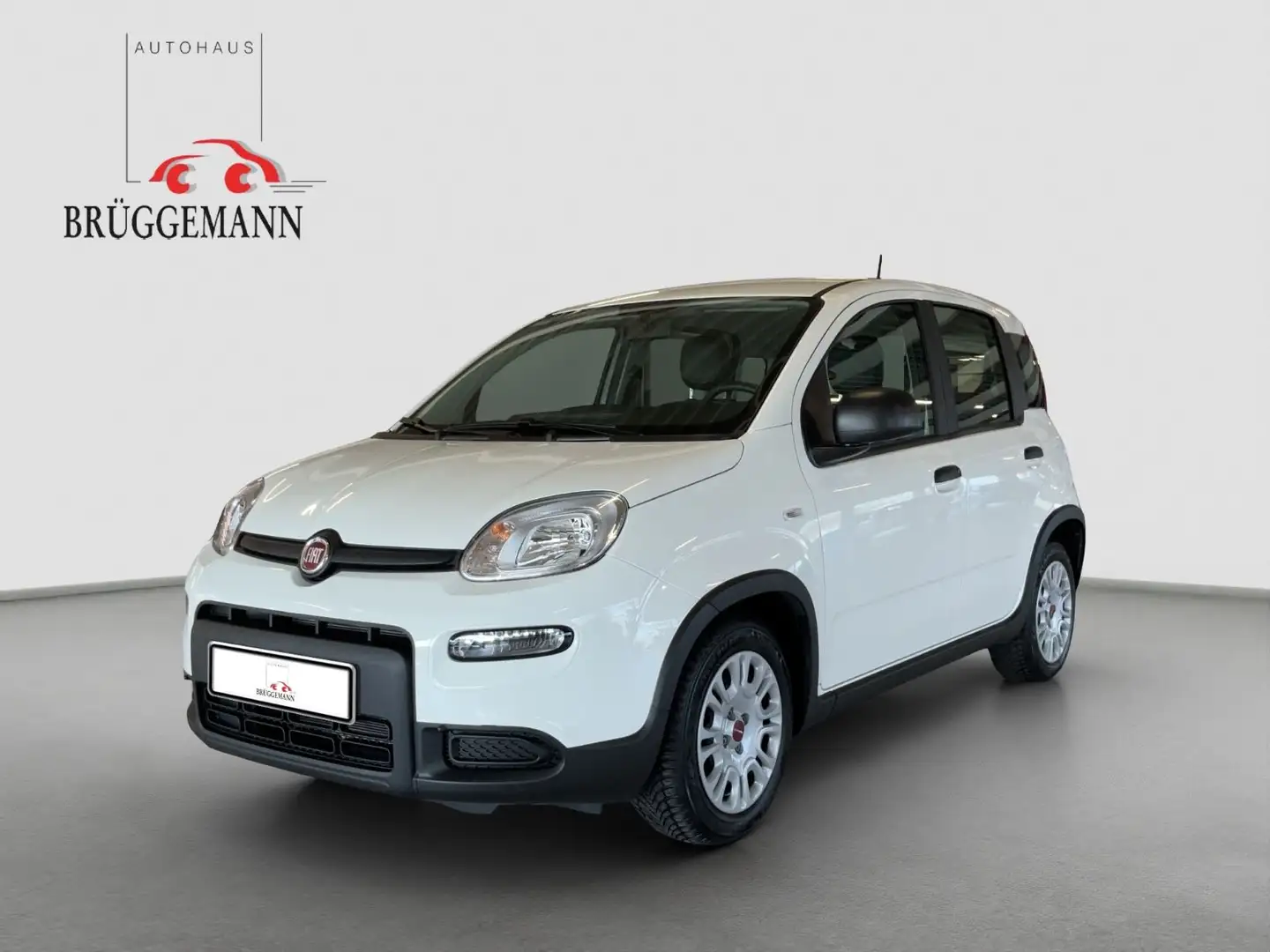 Fiat Panda 1.0 GSE Hybrid + Komfortpaket Blanco - 1