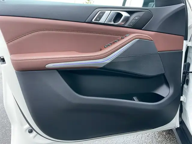 BMW X5 X5 view 14