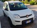 Fiat Panda Panda III 2021 1.0 firefly hybrid City Life s Blanc - thumbnail 2