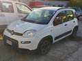 Fiat Panda Panda III 2021 1.0 firefly hybrid City Life s Blanc - thumbnail 1
