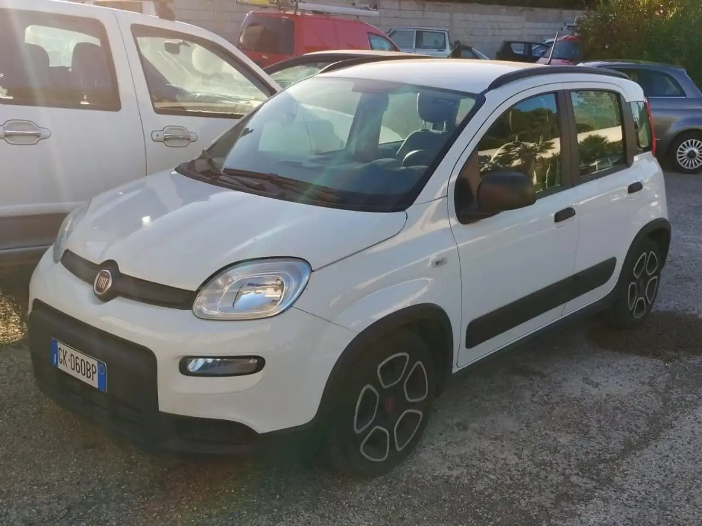 Fiat Panda Panda III 2021 1.0 firefly hybrid City Life s Blanc - 1