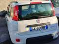 Fiat Panda Panda III 2021 1.0 firefly hybrid City Life s Blanc - thumbnail 3